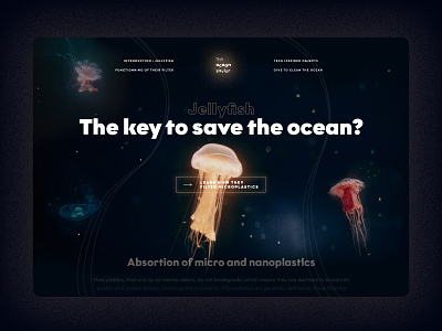 UI - Jellyfish : The Ocean Savior animal creative designer experiment interactive landing page ocean ui uidesign webdesign website