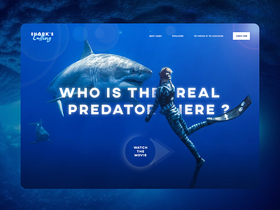 UI - Experience: The real predator documentary animated design designer experiment interaction design interactive interactive design landing page logo ui ui design ux ux design webdesign