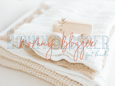 Header: Mommy Blogger branding design typography vector web
