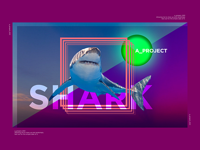 A_Project_003 graphic design graphic art illustration shark