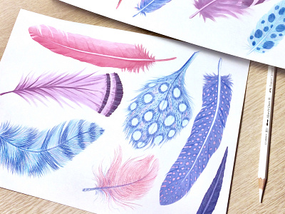 Feathers drawing gouache illustration painting pencils watercolor