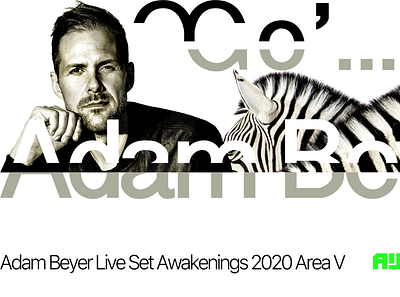 ADAM BEYER AWAKENINGS