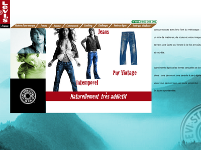 LEVI'S STRAUS & CO, FRENCH WEBSITE DESIGN