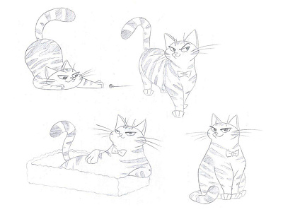 Character sketch cat character funny illustration sketch