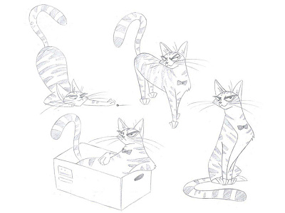 Character sketch cat character funny illustration sketch