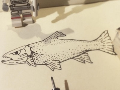 Trout Illustration drawing illustration moleskine pens sketching trout