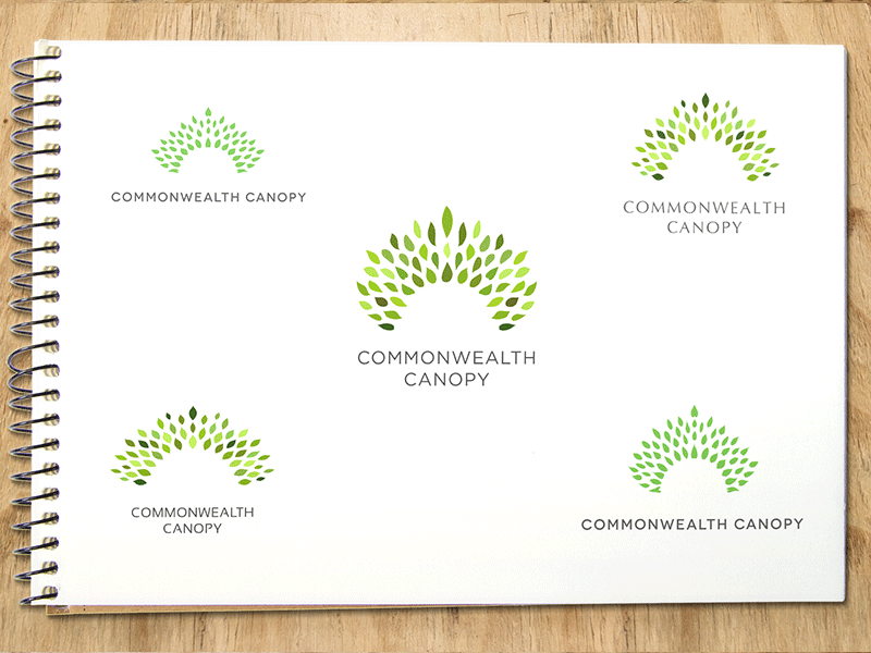 The Queen's Commonwealth Canopy - Logo sketches branding charity coolearth logo logodesign rainforest workinprogress