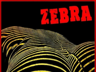 The Band ZERBA
