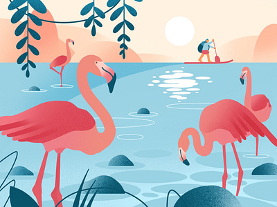 Calmness bay app bay bird calm character character design flamingo flat girl illustration ipadpro minimal procreate river sail sunset travel trip warmup web