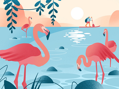 Calmness bay app bay bird calm character character design flamingo flat girl illustration ipadpro minimal procreate river sail sunset travel trip warmup web