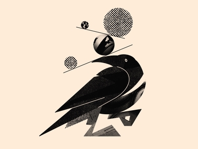 Raven app bird character crow design flat fly geometry illustration ink logo mascot minimal pattern raven shadow shape sketch texture vector