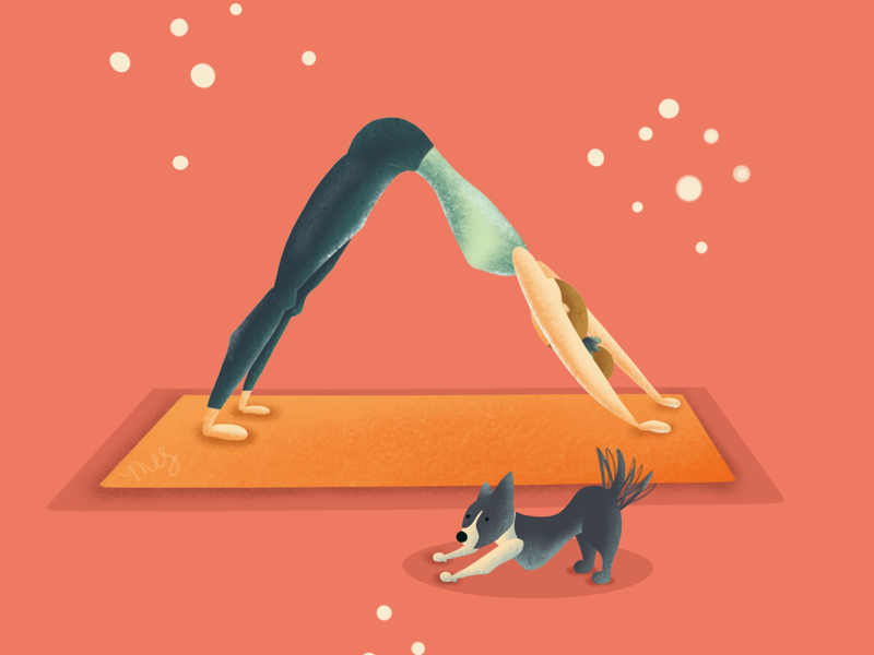 Dog Doing Downward Dog yogi breathe illustration cartoon downward dog dog pilates stretching yoga