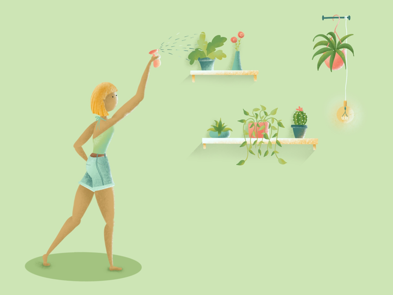 Plant Baby Care woman misting hanging green illustration indoor plants plant care plant