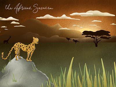 The African Savanna africa animals cheetah disney illustration lion king procreate savanna sunset