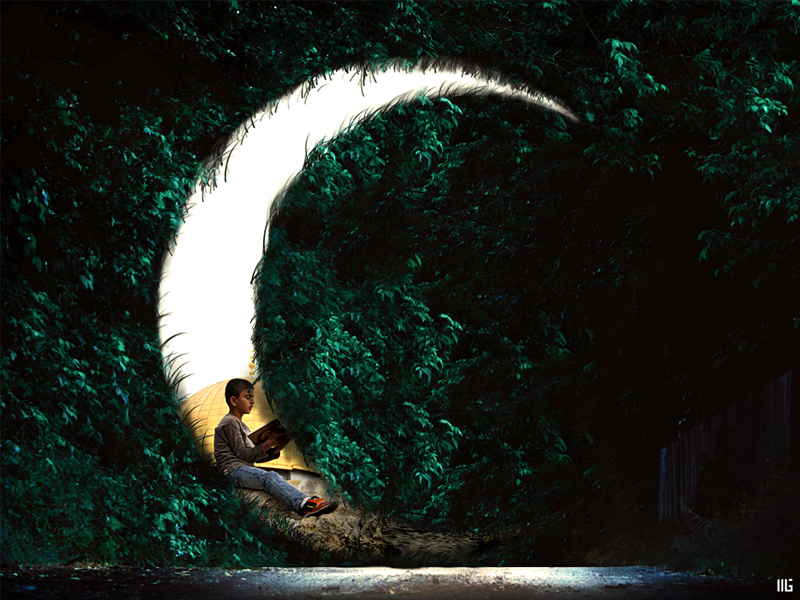 Ramadan in Palestine ( Ramadan 2019 ) project behance love idea color tree 2019 palestine poster post ramadan kareem ramadan wallpaper design wallpaper photo photoshop art graphic design graphic design