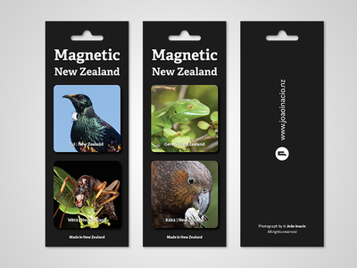 Magnetic New Zealand art direction conservation endemic species graphic design magnets new zealand packaging design photography souvenir sustainability