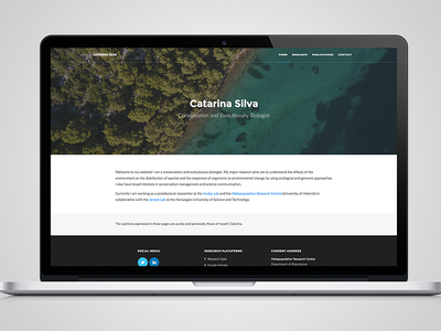 Catarina Silva website art direction responsive design ui design ux design web design website