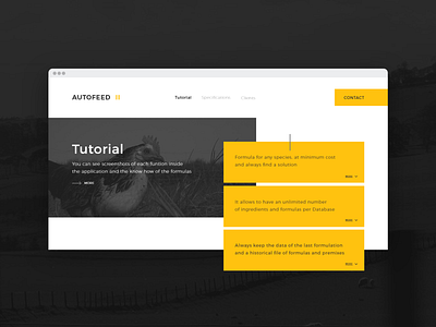 Website - Module concept corporate design flat ui ux web web design website