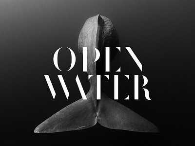 Open Water artwork black and white didot ep fish music record type water