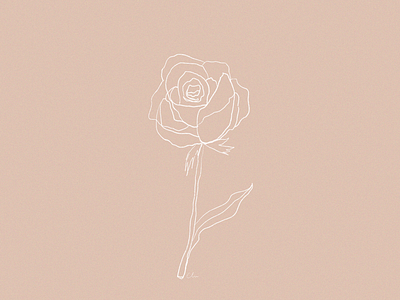 rose album cover branding coloful design flat floral flower icon illustration logo minimal poster poster art rose simple wallpaper