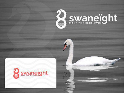 Swan + Eight branding creative design eight icon logo logo design logotype minimal orange logo swan swan logo unique unique logo vector water wave white