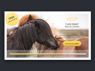 Daily Ui challenge #032 Crowdfunding animals crowd fund crowdfunding daily ui daily ui challenge pony rescue center ui challenge user interface user interface design
