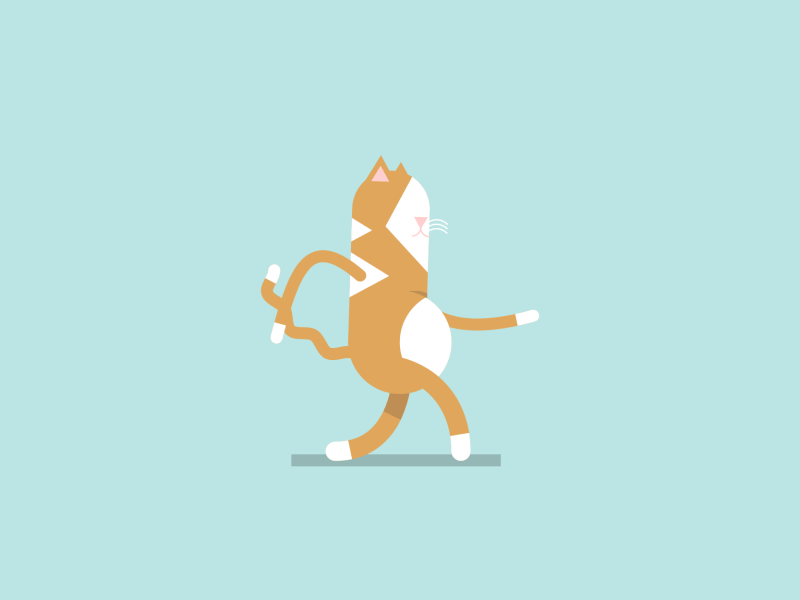 Cat Walking Animation Gif