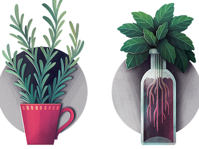 Fines herbes editorial illustration vegan zero waste
