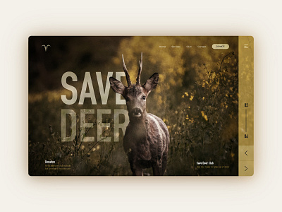 Save Deer Web Ui design graphic sketchapp ui web