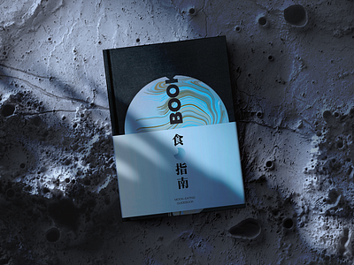 MOON-EATING book cover design