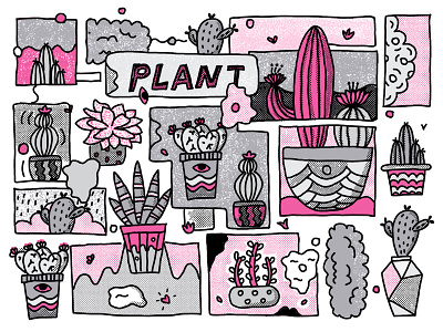 plants