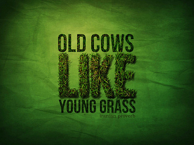 Old Cows Like Young Grass cow grass illustration proverb typography