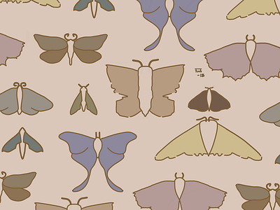 Moth tile browns line art moth moths natural repeating simple tile