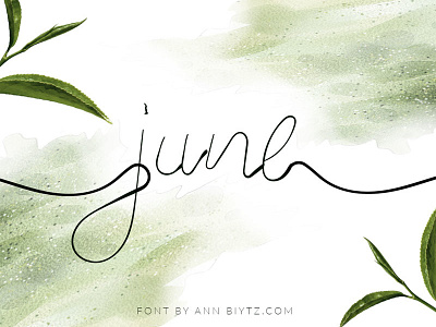 June Bop Font