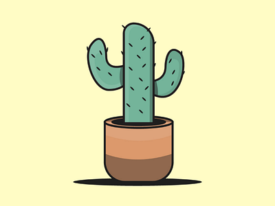 Cactus Illustration colorful design flat illustration illustrarion web design