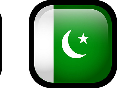 Pakistan Flag Icon design graphic design icon illustration logo minimal ui ux vector web