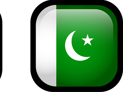 Pakistan Flag Icon design graphic design icon illustration logo minimal ui ux vector web
