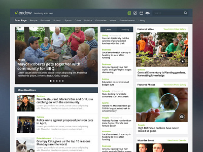 Meadow Template homepage news news website template ui ux website