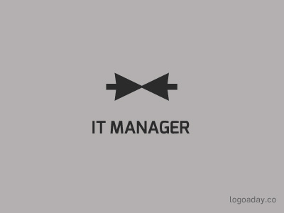 IT Manager