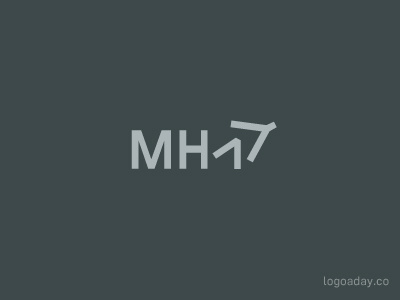 MH17 airplane malaysia airlines mh17 plane