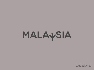 Malaysia airlines airplane malaysia plane