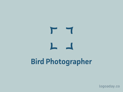 Bird Photographer bird photo photographer photography pic