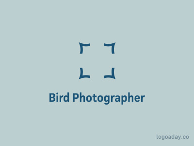 Bird Photographer