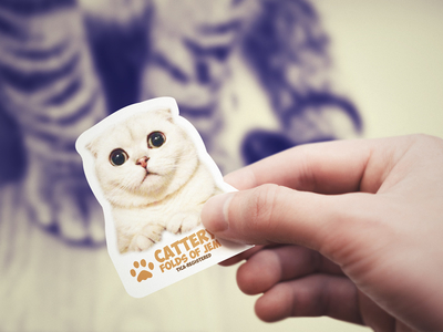 Cattery Folds of Jem business card design animal business card card cat corporate card creative cute diecut kitten meow namecard unique