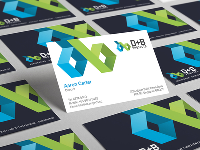 B D Projects Business Card Design bd branding business card construction identity interior letterhead logo projects sg singapore vi