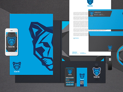 Techlynx branding and identity design