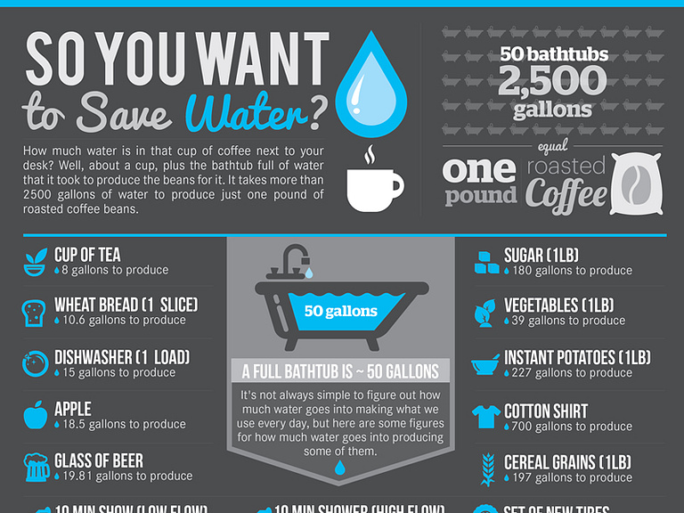 Saving Water Infographic Design By Lemongraphic On Dribbble