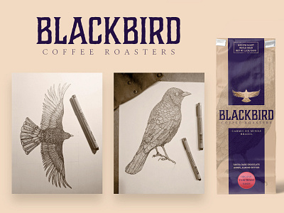 Blackbird Coffee Roasters bird black bird branding coffee crow drawing pen and ink roasters