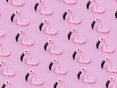 Flamingos