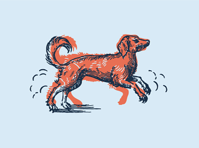 Pupper design illustration illustrator logo minimal vector
